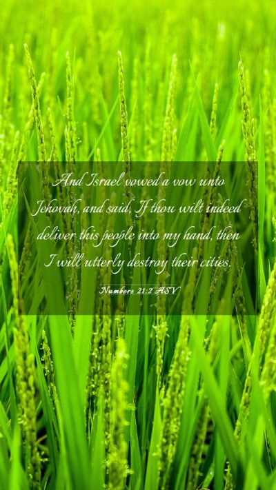Picture 03 - Numbers 21:2 ASV Mobile Phone Wallpaper - And Israel vowed a vow unto Jehovah, and said, If - Mobile Bible Verse Wallpaper