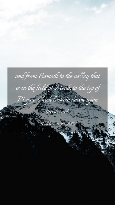 Picture 03 - Numbers 21:20 ASV Mobile Phone Wallpaper - and from Bamoth to the valley that is in the - Mobile Bible Verse Wallpaper
