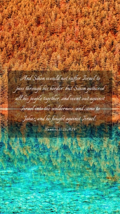 Picture 03 - Numbers 21:23 ASV Mobile Phone Wallpaper - And Sihon would not suffer Israel to pass through - Mobile Bible Verse Wallpaper