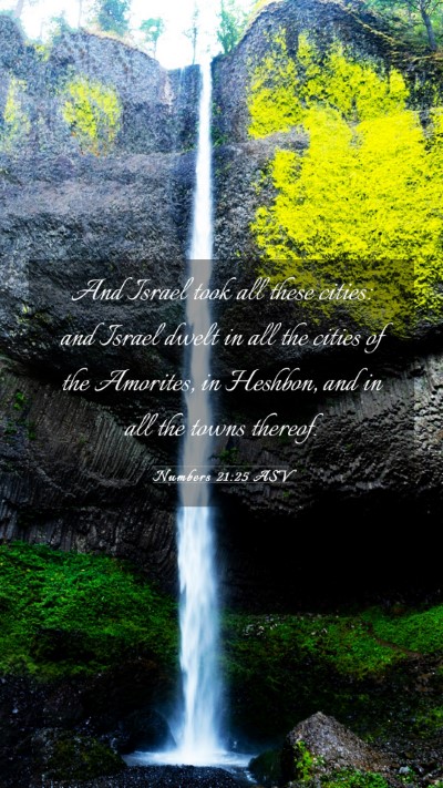 Picture 03 - Numbers 21:25 ASV Mobile Phone Wallpaper - And Israel took all these cities: and Israel - Mobile Bible Verse Wallpaper