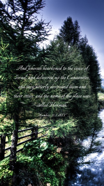 Picture 03 - Numbers 21:3 ASV Mobile Phone Wallpaper - And Jehovah hearkened to the voice of Israel, and - Mobile Bible Verse Wallpaper