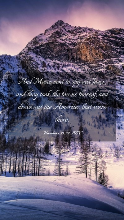 Picture 03 - Numbers 21:32 ASV Mobile Phone Wallpaper - And Moses sent to spy out Jazer; and they took - Mobile Bible Verse Wallpaper