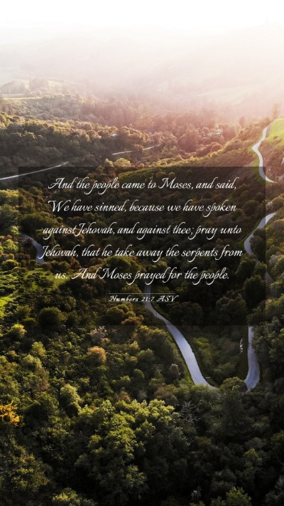 Picture 03 - Numbers 21:7 ASV Mobile Phone Wallpaper - And the people came to Moses, and said, We have - Mobile Bible Verse Wallpaper