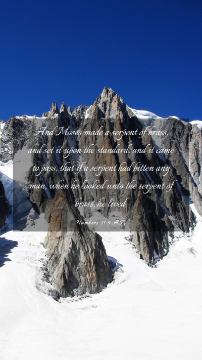 Picture 03 - Numbers 21:9 ASV Mobile Phone Wallpaper - And Moses made a serpent of brass, and set it - Mobile Bible Verse Wallpaper