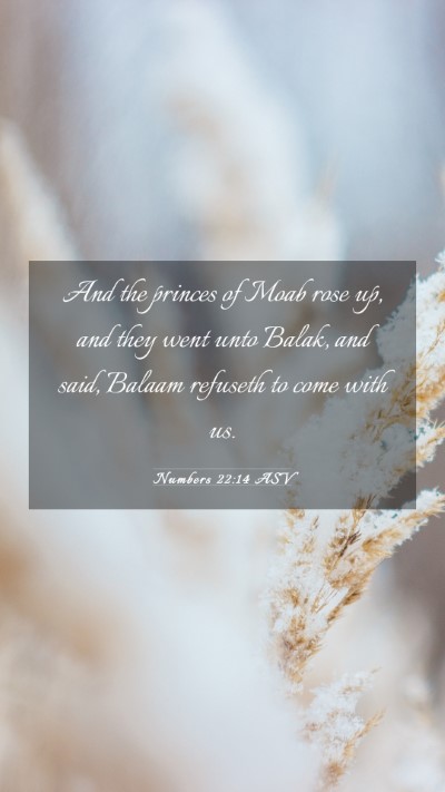 Picture 03 - Numbers 22:14 ASV Mobile Phone Wallpaper - And the princes of Moab rose up, and they went - Mobile Bible Verse Wallpaper