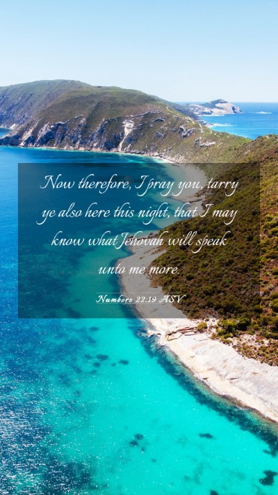 Picture 03 - Numbers 22:19 ASV Mobile Phone Wallpaper - Now therefore, I pray you, tarry ye also here - Mobile Bible Verse Wallpaper