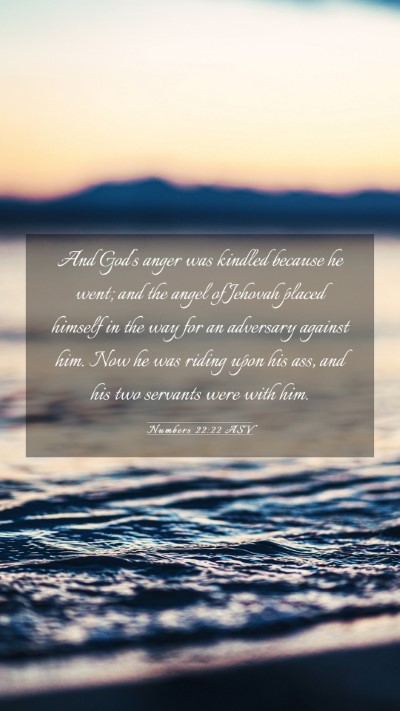 Picture 03 - Numbers 22:22 ASV Mobile Phone Wallpaper - And God's anger was kindled because he went; and - Mobile Bible Verse Wallpaper