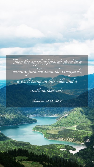 Picture 03 - Numbers 22:24 ASV Mobile Phone Wallpaper - Then the angel of Jehovah stood in a narrow path - Mobile Bible Verse Wallpaper
