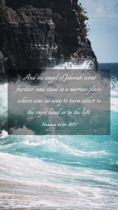 Picture 03 - Numbers 22:26 ASV Mobile Phone Wallpaper - And the angel of Jehovah went further, and stood - Mobile Bible Verse Wallpaper