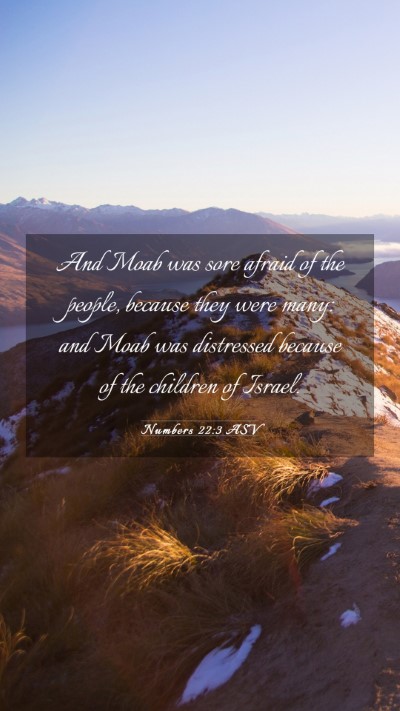 Picture 03 - Numbers 22:3 ASV Mobile Phone Wallpaper - And Moab was sore afraid of the people, because - Mobile Bible Verse Wallpaper