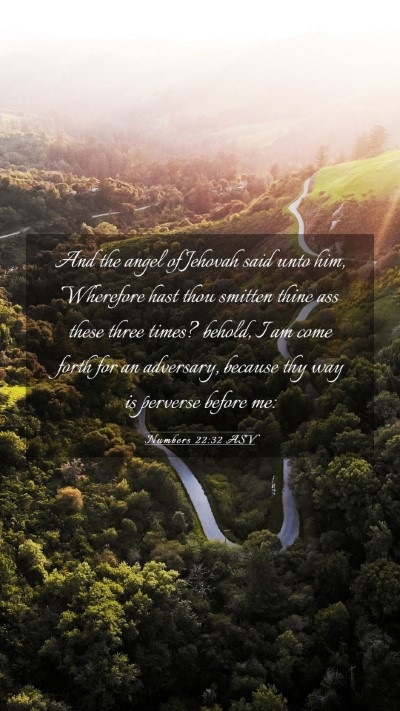 Picture 03 - Numbers 22:32 ASV Mobile Phone Wallpaper - And the angel of Jehovah said unto him, Wherefore - Mobile Bible Verse Wallpaper