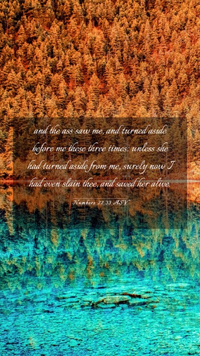 Picture 03 - Numbers 22:33 ASV Mobile Phone Wallpaper - and the ass saw me, and turned aside before me - Mobile Bible Verse Wallpaper