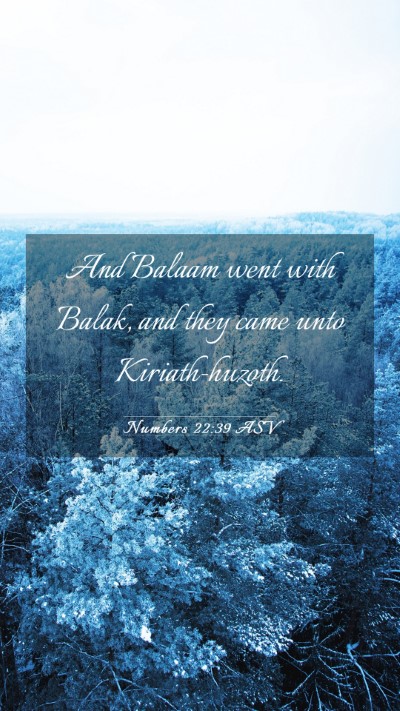 Picture 03 - Numbers 22:39 ASV Mobile Phone Wallpaper - And Balaam went with Balak, and they came unto - Mobile Bible Verse Wallpaper