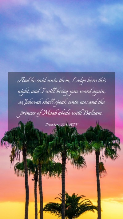 Picture 03 - Numbers 22:8 ASV Mobile Phone Wallpaper - And he said unto them, Lodge here this night, and - Mobile Bible Verse Wallpaper