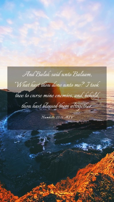Picture 03 - Numbers 23:11 ASV Mobile Phone Wallpaper - And Balak said unto Balaam, What hast thou done - Mobile Bible Verse Wallpaper