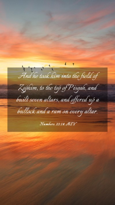 Picture 03 - Numbers 23:14 ASV Mobile Phone Wallpaper - And he took him into the field of Zophim, to the - Mobile Bible Verse Wallpaper