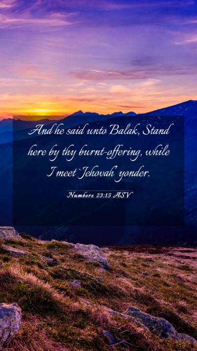 Picture 03 - Numbers 23:15 ASV Mobile Phone Wallpaper - And he said unto Balak, Stand here by thy - Mobile Bible Verse Wallpaper