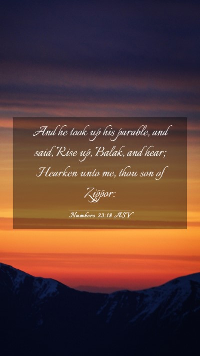 Picture 03 - Numbers 23:18 ASV Mobile Phone Wallpaper - And he took up his parable, and said, Rise up, - Mobile Bible Verse Wallpaper