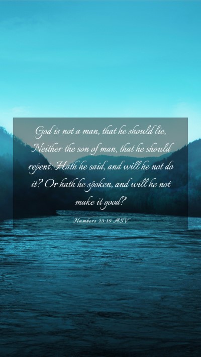 Picture 03 - Numbers 23:19 ASV Mobile Phone Wallpaper - God is not a man, that he should lie, Neither the - Mobile Bible Verse Wallpaper