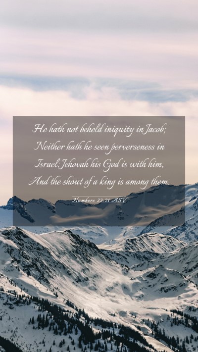 Picture 03 - Numbers 23:21 ASV Mobile Phone Wallpaper - He hath not beheld iniquity in Jacob; Neither - Mobile Bible Verse Wallpaper