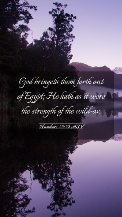 Picture 03 - Numbers 23:22 ASV Mobile Phone Wallpaper - God bringeth them forth out of Egypt; He hath as - Mobile Bible Verse Wallpaper