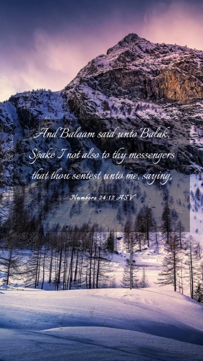 Picture 03 - Numbers 24:12 ASV Mobile Phone Wallpaper - And Balaam said unto Balak, Spake I not also to - Mobile Bible Verse Wallpaper