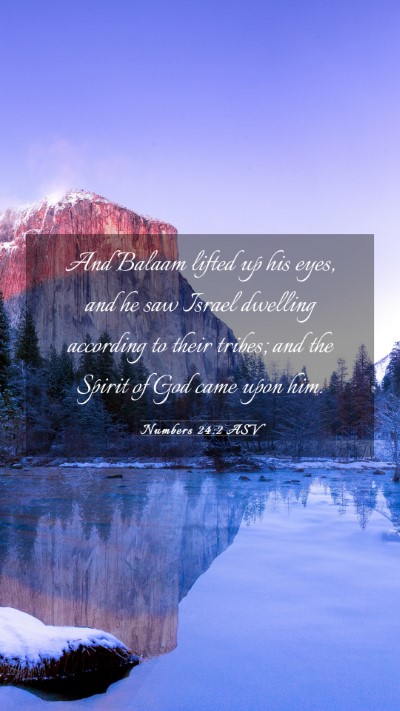 Picture 03 - Numbers 24:2 ASV Mobile Phone Wallpaper - And Balaam lifted up his eyes, and he saw Israel - Mobile Bible Verse Wallpaper