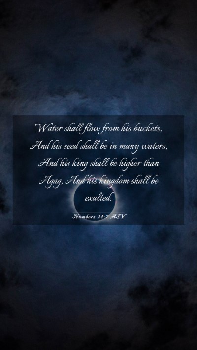 Picture 03 - Numbers 24:7 ASV Mobile Phone Wallpaper - Water shall flow from his buckets, And his seed - Mobile Bible Verse Wallpaper