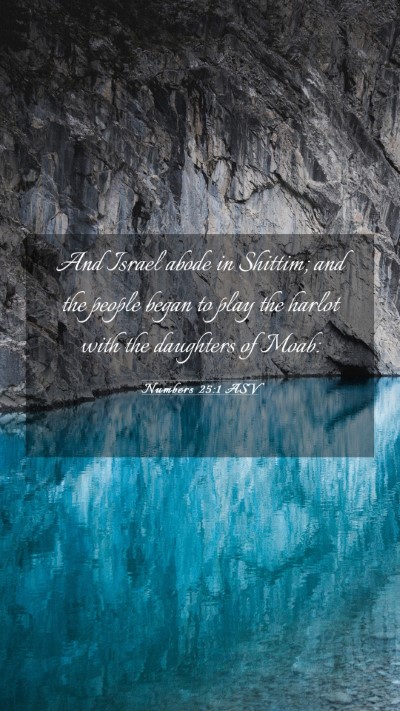 Picture 03 - Numbers 25:1 ASV Mobile Phone Wallpaper - And Israel abode in Shittim; and the people began - Mobile Bible Verse Wallpaper