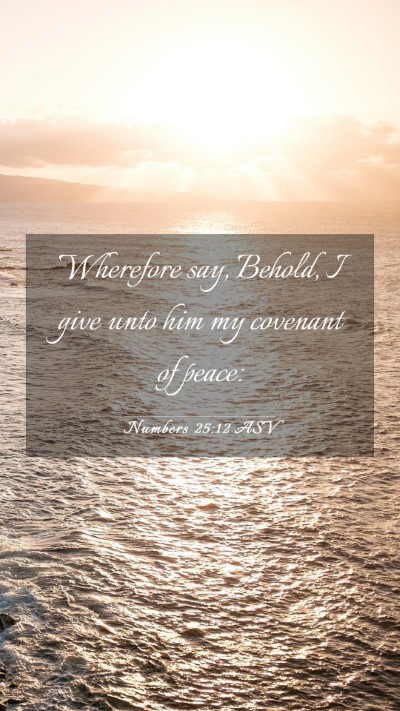 Picture 03 - Numbers 25:12 ASV Mobile Phone Wallpaper - Wherefore say, Behold, I give unto him my - Mobile Bible Verse Wallpaper