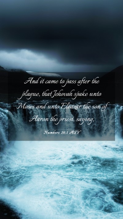 Picture 03 - Numbers 26:1 ASV Mobile Phone Wallpaper - And it came to pass after the plague, that - Mobile Bible Verse Wallpaper