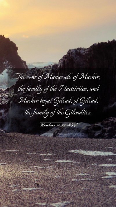 Picture 03 - Numbers 26:29 ASV Mobile Phone Wallpaper - The sons of Manasseh: of Machir, the family of - Mobile Bible Verse Wallpaper
