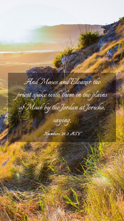 Picture 03 - Numbers 26:3 ASV Mobile Phone Wallpaper - And Moses and Eleazar the priest spake with them - Mobile Bible Verse Wallpaper