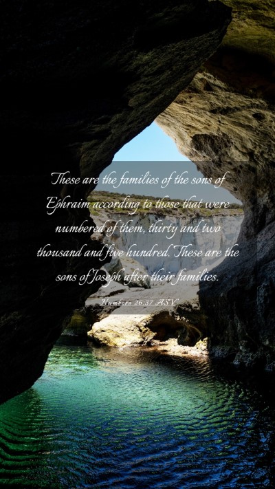 Picture 03 - Numbers 26:37 ASV Mobile Phone Wallpaper - These are the families of the sons of Ephraim - Mobile Bible Verse Wallpaper