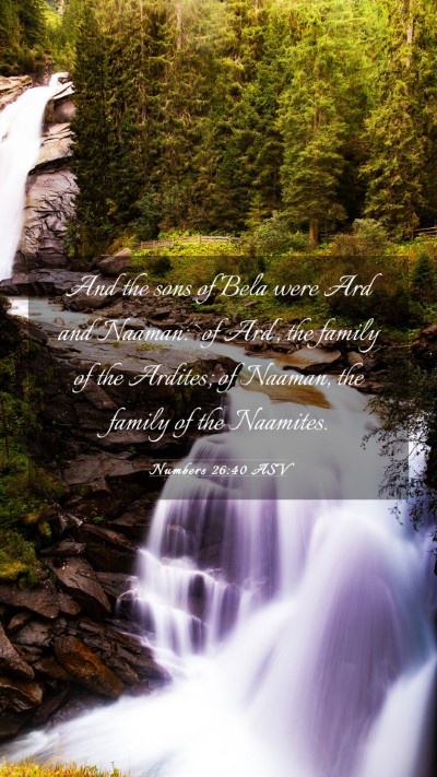 Picture 03 - Numbers 26:40 ASV Mobile Phone Wallpaper - And the sons of Bela were Ard and Naaman: `of - Mobile Bible Verse Wallpaper