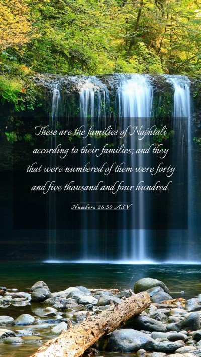 Picture 03 - Numbers 26:50 ASV Mobile Phone Wallpaper - These are the families of Naphtali according to - Mobile Bible Verse Wallpaper