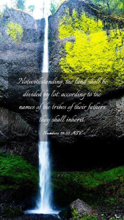 Picture 03 - Numbers 26:55 ASV Mobile Phone Wallpaper - Notwithstanding, the land shall be divided by - Mobile Bible Verse Wallpaper