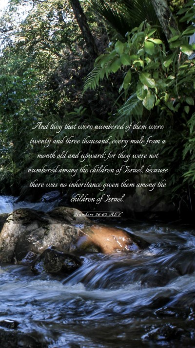 Picture 03 - Numbers 26:62 ASV Mobile Phone Wallpaper - And they that were numbered of them were twenty - Mobile Bible Verse Wallpaper