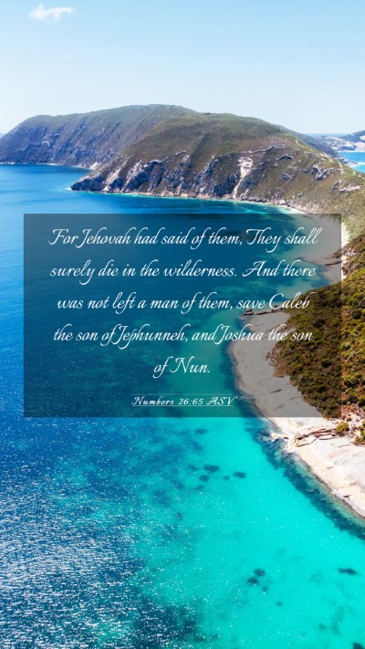Picture 03 - Numbers 26:65 ASV Mobile Phone Wallpaper - For Jehovah had said of them, They shall surely - Mobile Bible Verse Wallpaper