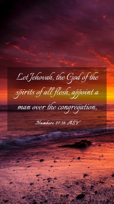 Picture 03 - Numbers 27:16 ASV Mobile Phone Wallpaper - Let Jehovah, the God of the spirits of all flesh, - Mobile Bible Verse Wallpaper