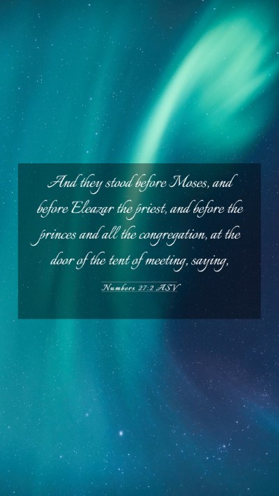 Picture 03 - Numbers 27:2 ASV Mobile Phone Wallpaper - And they stood before Moses, and before Eleazar - Mobile Bible Verse Wallpaper