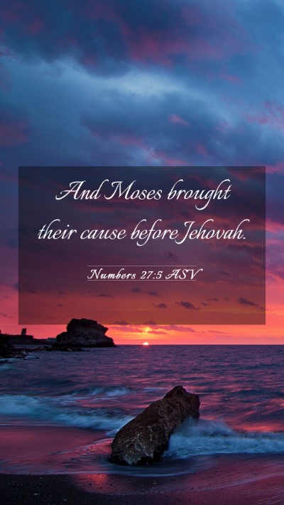Picture 03 - Numbers 27:5 ASV Mobile Phone Wallpaper - And Moses brought their cause before - Mobile Bible Verse Wallpaper