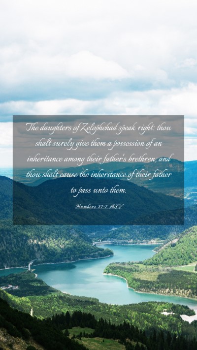 Picture 03 - Numbers 27:7 ASV Mobile Phone Wallpaper - The daughters of Zelophehad speak right: thou - Mobile Bible Verse Wallpaper