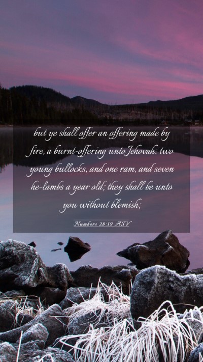 Picture 03 - Numbers 28:19 ASV Mobile Phone Wallpaper - but ye shall offer an offering made by fire, a - Mobile Bible Verse Wallpaper