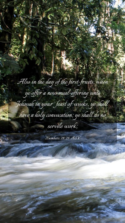 Picture 03 - Numbers 28:26 ASV Mobile Phone Wallpaper - Also in the day of the first-fruits, when ye - Mobile Bible Verse Wallpaper