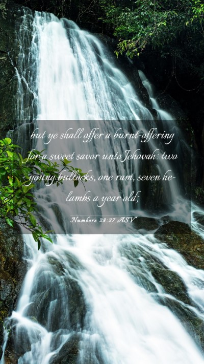 Picture 03 - Numbers 28:27 ASV Mobile Phone Wallpaper - but ye shall offer a burnt-offering for a sweet - Mobile Bible Verse Wallpaper