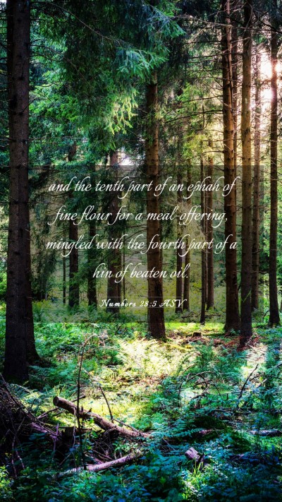 Picture 03 - Numbers 28:5 ASV Mobile Phone Wallpaper - and the tenth part of an ephah of fine flour for - Mobile Bible Verse Wallpaper