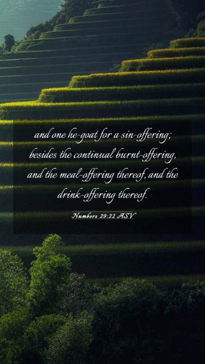 Picture 03 - Numbers 29:22 ASV Mobile Phone Wallpaper - and one he-goat for a sin-offering; besides the - Mobile Bible Verse Wallpaper