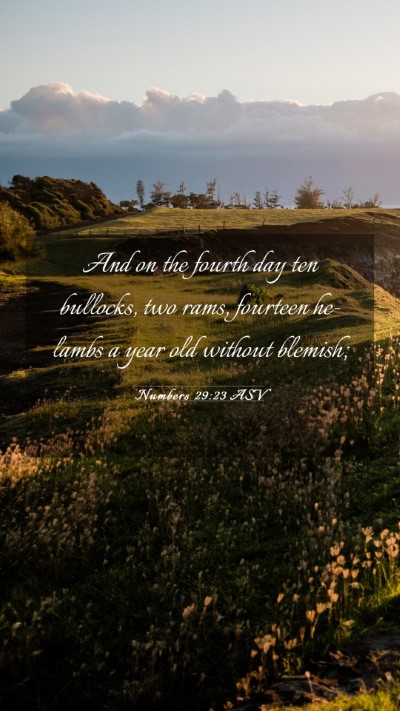 Picture 03 - Numbers 29:23 ASV Mobile Phone Wallpaper - And on the fourth day ten bullocks, two rams, - Mobile Bible Verse Wallpaper