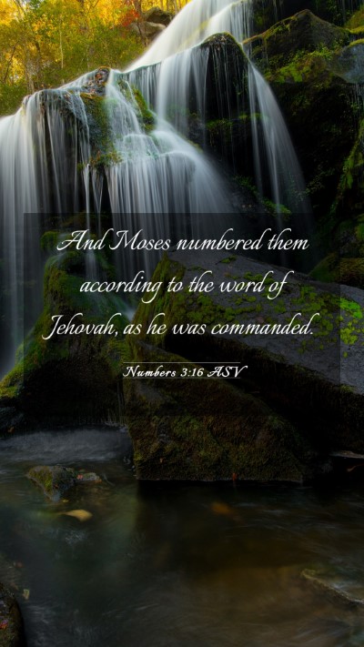 Picture 03 - Numbers 3:16 ASV Mobile Phone Wallpaper - And Moses numbered them according to the word of - Mobile Bible Verse Wallpaper
